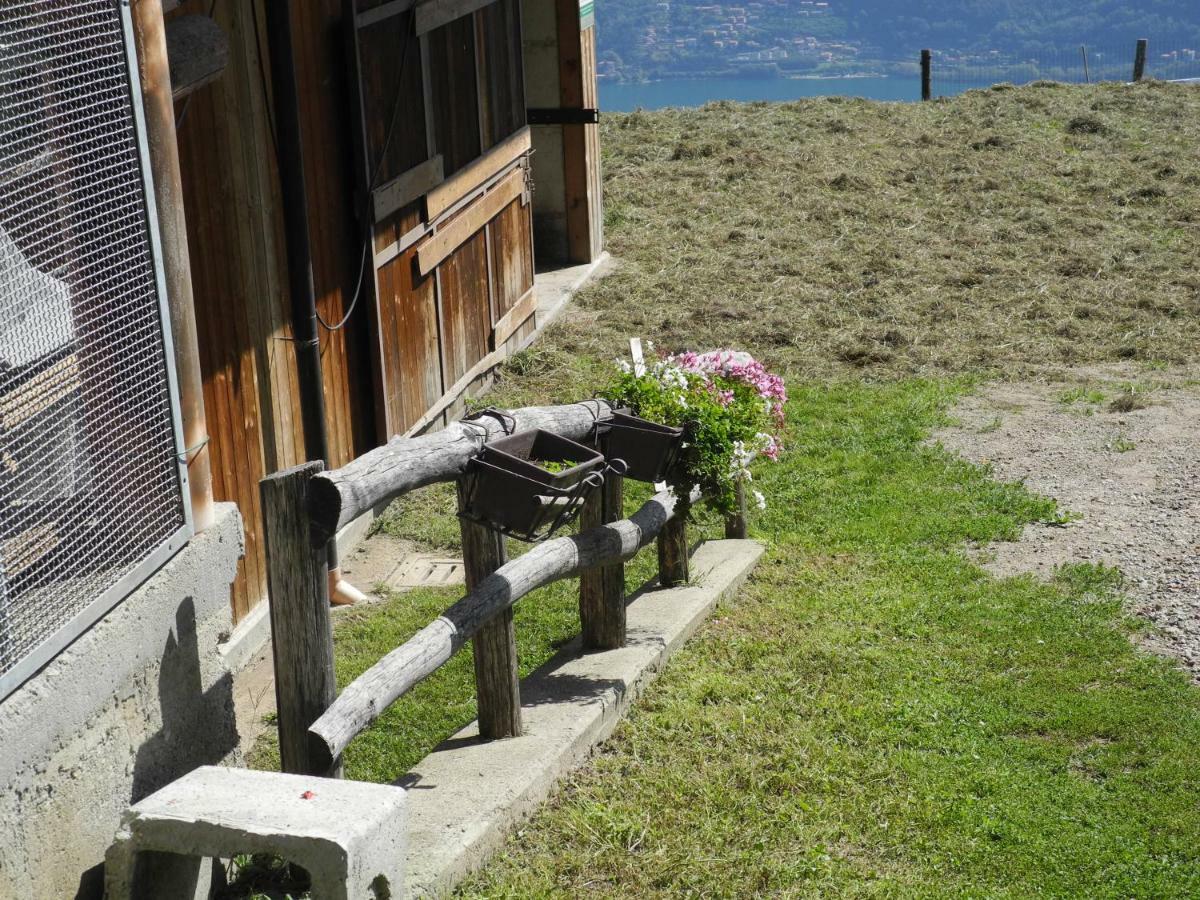Agriturismo Piccolo Paradiso Pianello Del Lario Exterior photo