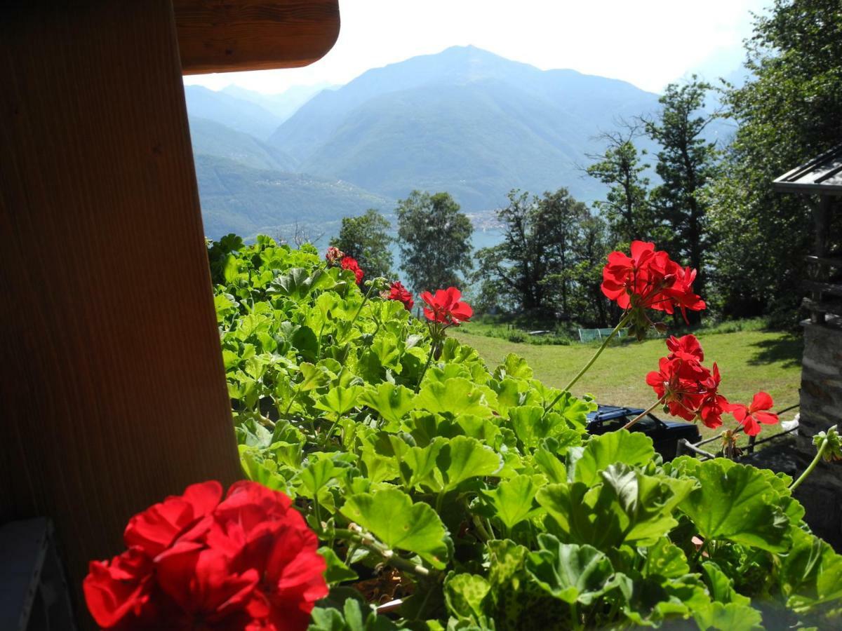 Agriturismo Piccolo Paradiso Pianello Del Lario Exterior photo